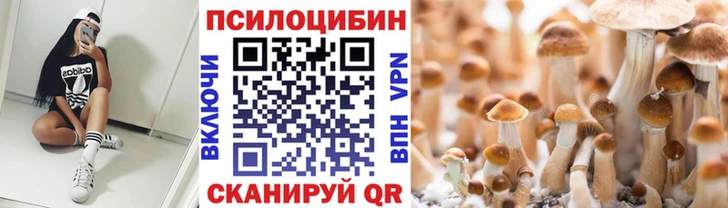 дарнет шоп  Северо-Курильск  Псилоцибиновые грибы MAGIC MUSHROOMS 